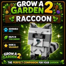 raccoon